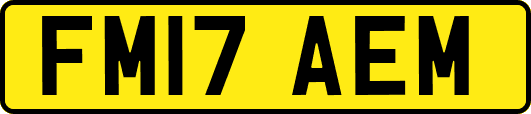 FM17AEM
