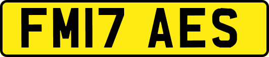FM17AES