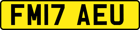 FM17AEU