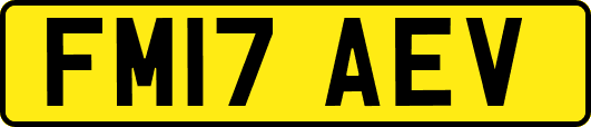 FM17AEV