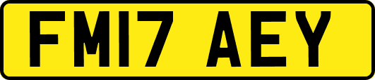 FM17AEY