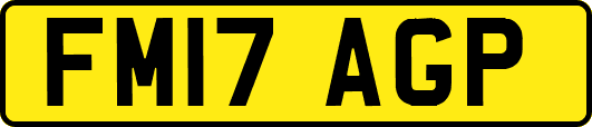 FM17AGP
