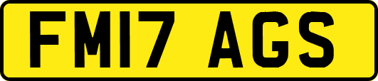 FM17AGS