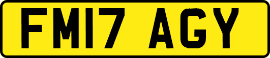FM17AGY