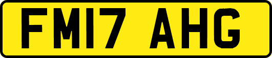 FM17AHG
