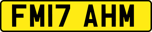 FM17AHM