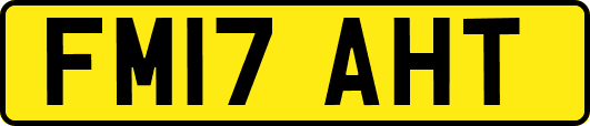 FM17AHT