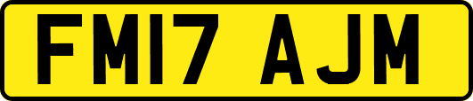 FM17AJM