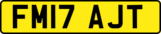 FM17AJT