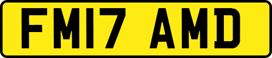 FM17AMD
