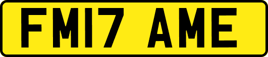 FM17AME