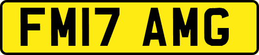 FM17AMG