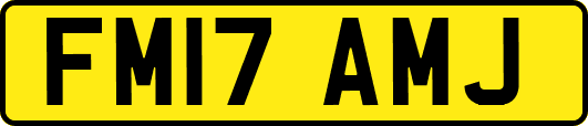 FM17AMJ