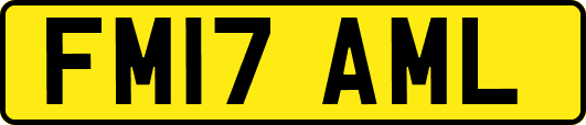 FM17AML