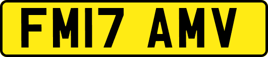 FM17AMV