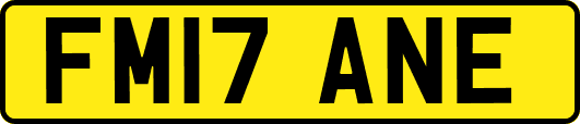 FM17ANE