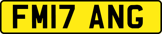 FM17ANG