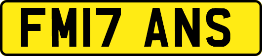 FM17ANS