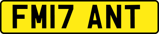 FM17ANT