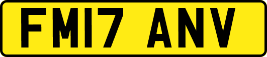 FM17ANV