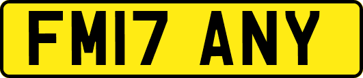 FM17ANY