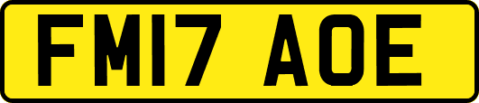 FM17AOE