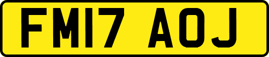 FM17AOJ