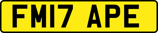 FM17APE