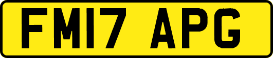 FM17APG
