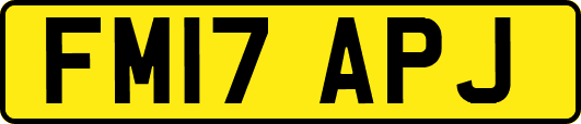 FM17APJ