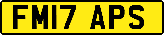 FM17APS