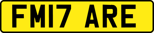 FM17ARE
