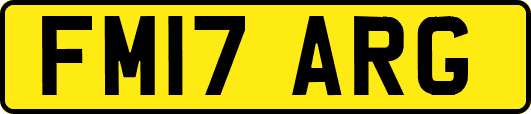 FM17ARG