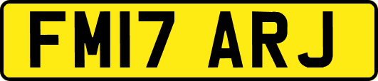FM17ARJ