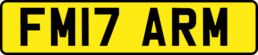 FM17ARM