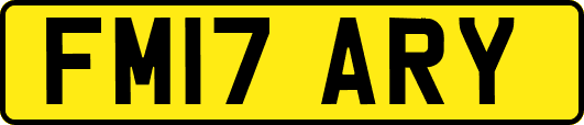 FM17ARY