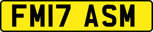 FM17ASM
