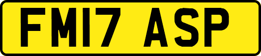 FM17ASP