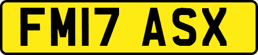 FM17ASX