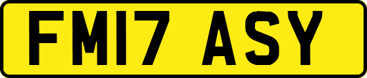 FM17ASY