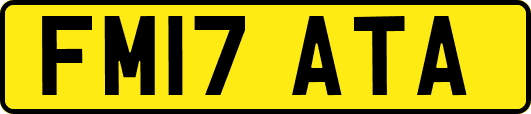 FM17ATA