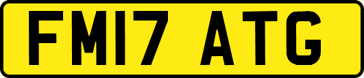 FM17ATG