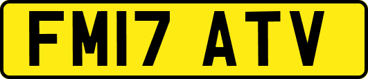 FM17ATV
