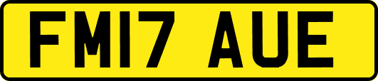 FM17AUE