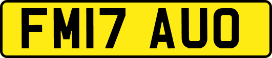 FM17AUO