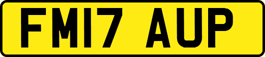 FM17AUP