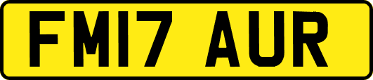 FM17AUR