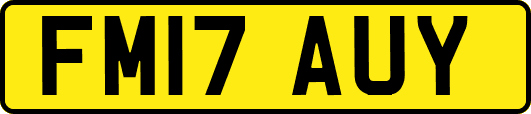 FM17AUY