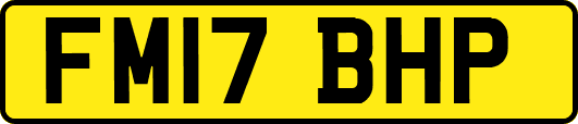 FM17BHP