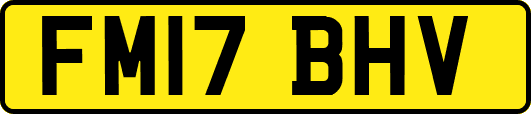FM17BHV